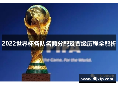 2022世界杯各队名额分配及晋级历程全解析
